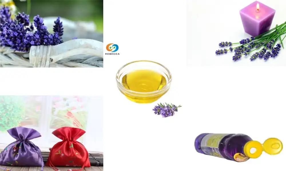 What bugs does lavender essential oil repel?